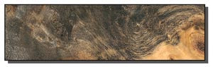 Buckeye Burl