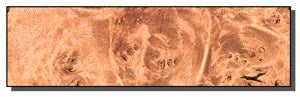 Maple Burl